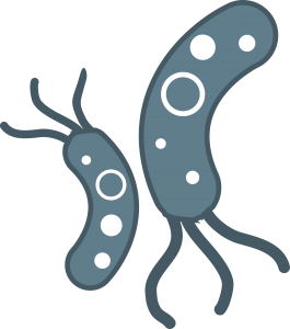 Bacteria PNG-43396